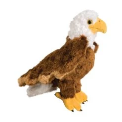 Colbert The Stuffed Bald Eagle By Douglas