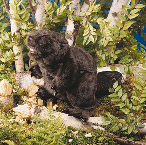 Full Body Beaver Puppet By Folkmanis Puppets 2 Full Body Beaver Puppet By Folkmanis Puppets - Image 2